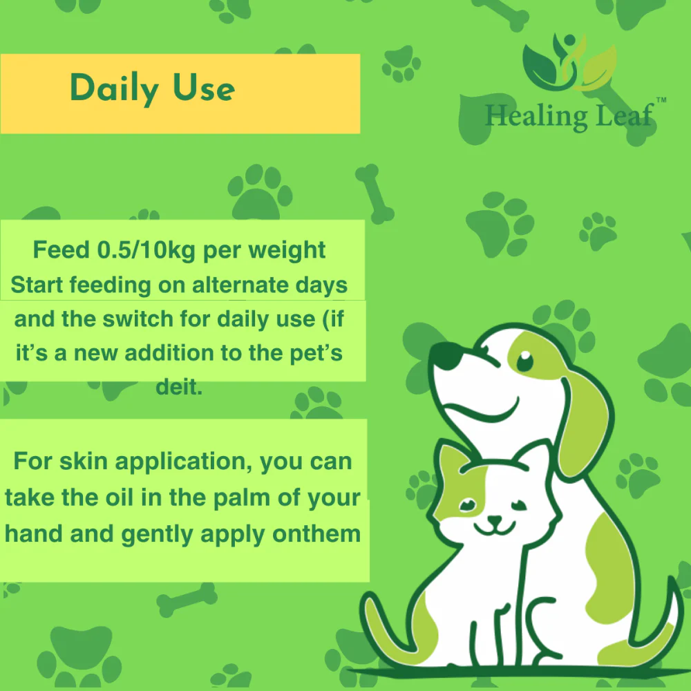 Healing Leaf Hemp Oil for Dogs and Cats - Image 2