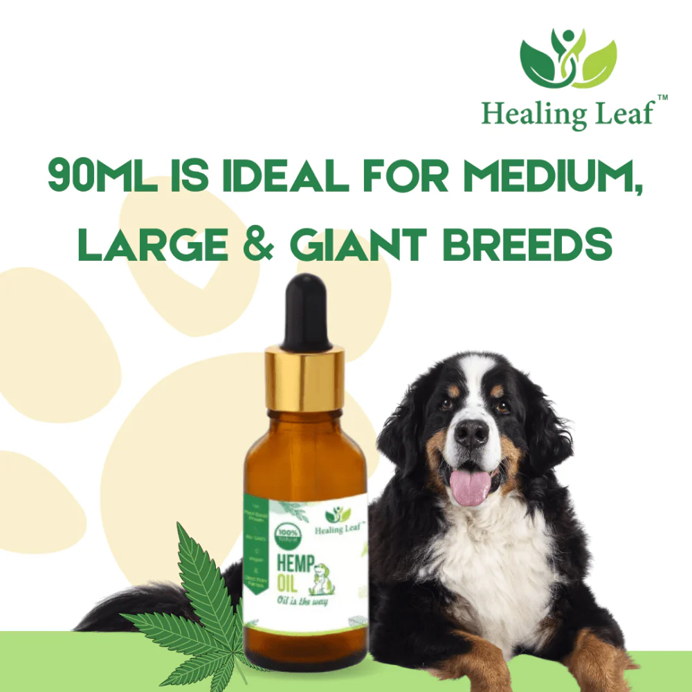 Healing Leaf Hemp Oil for Dogs and Cats - Image 5