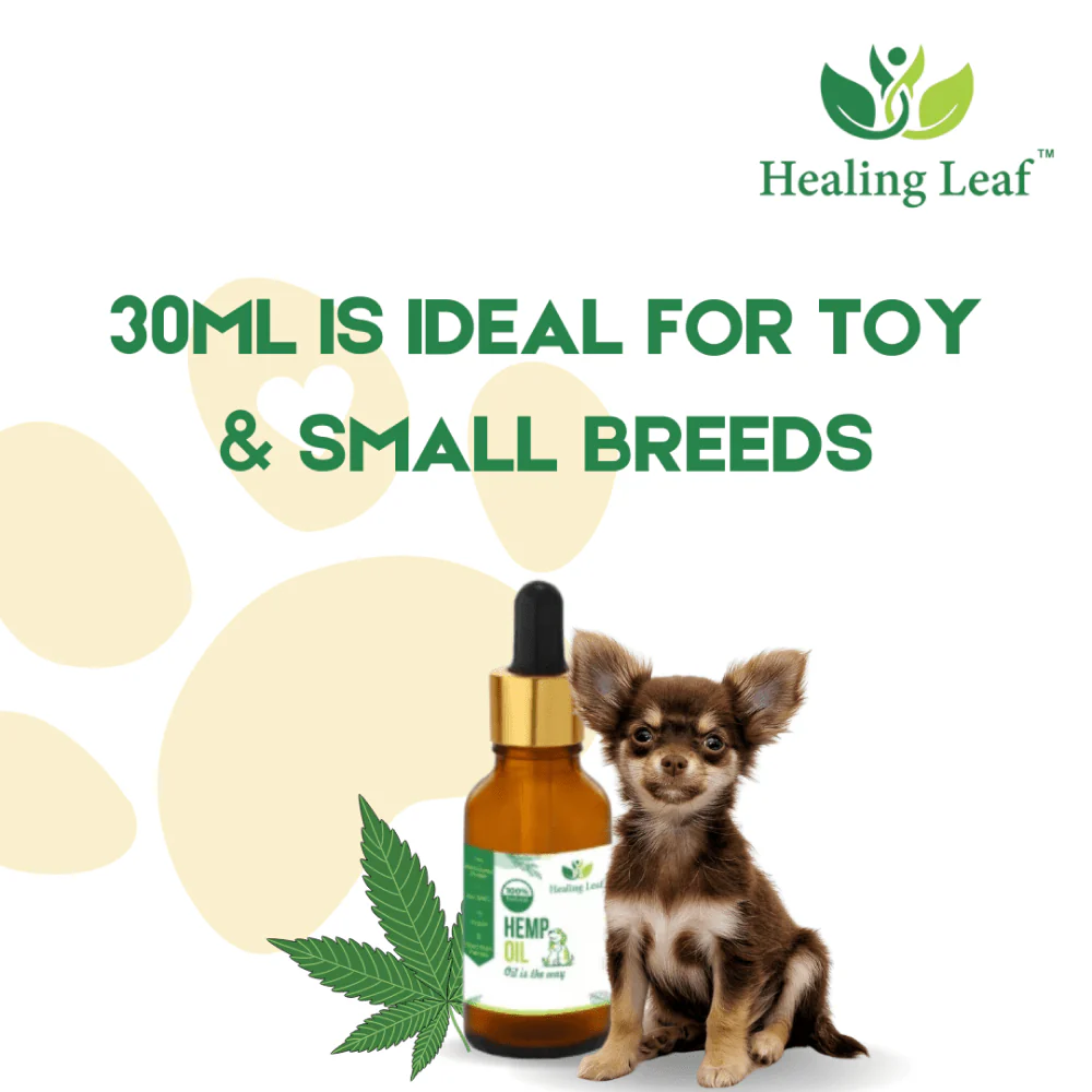 Healing Leaf Hemp Oil for Dogs and Cats - Image 6