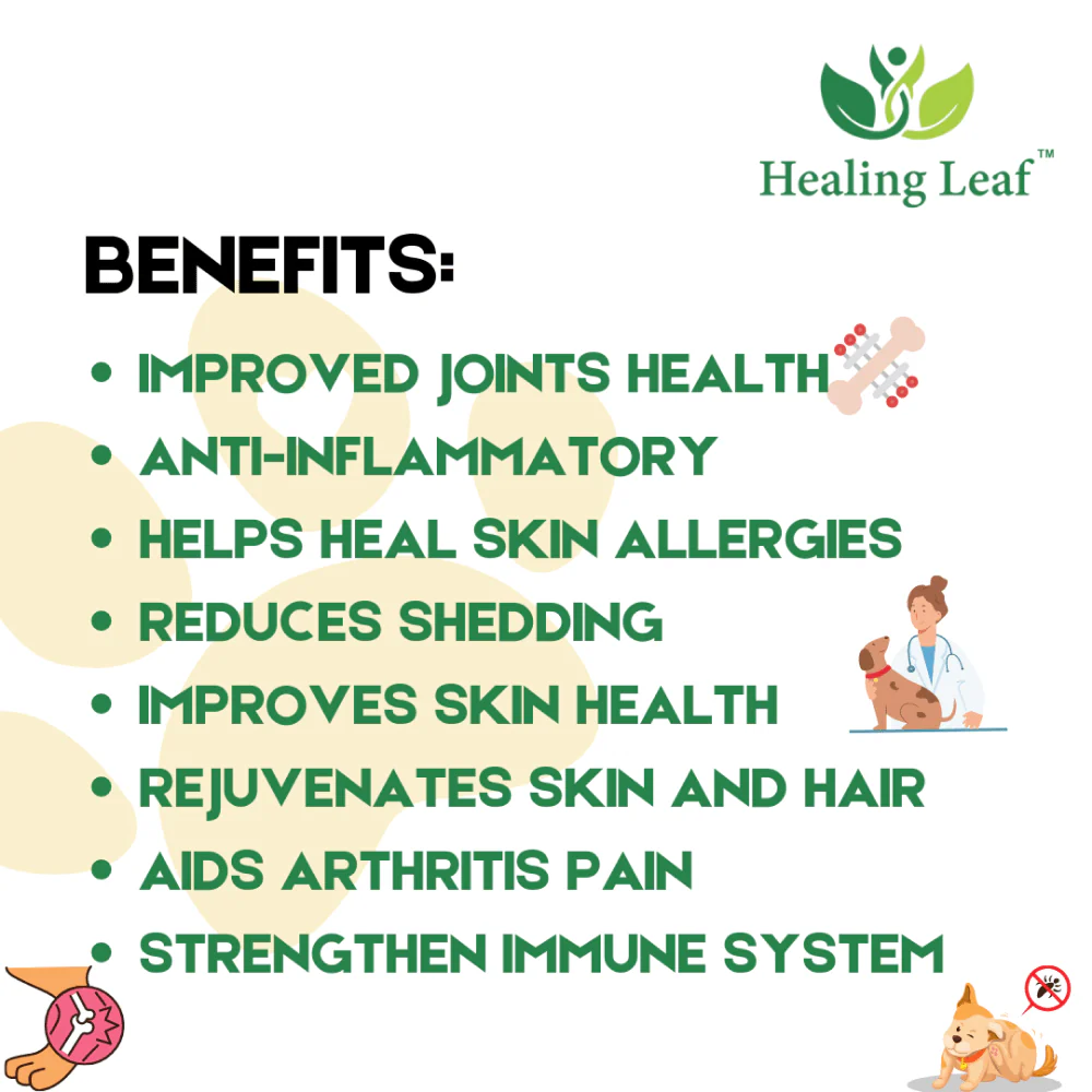 Healing Leaf Hemp Oil for Dogs and Cats - Image 8