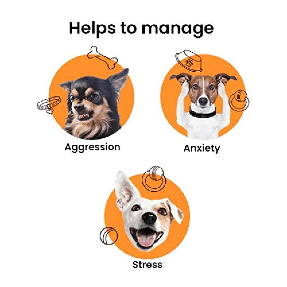 Healing Leaf Hemp Oil and Bark Out Loud Calming & Anti Anxiety Supplements for Dogs and Cats Combo - Image 9