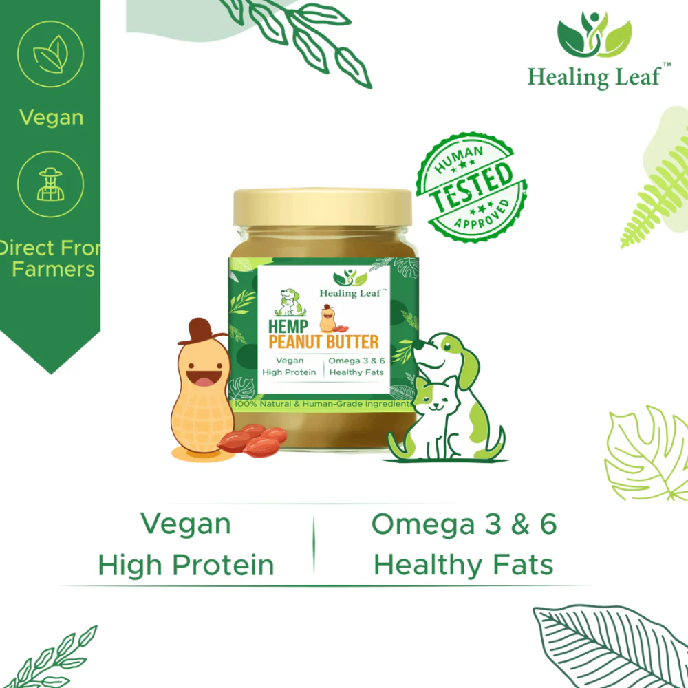 Healing Leaf Hemp Peanut Butter and Kong Classic Toy Combo for Dogs - Image 11