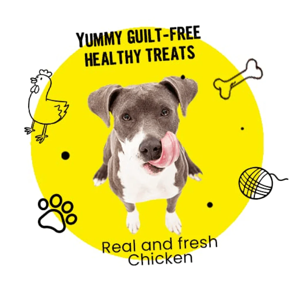 Healing Leaf Hemp Peanut Butter and Bark Out Loud Skin & Coat Hemp Chew Stix for Dogs and Cats Combo - Image 14
