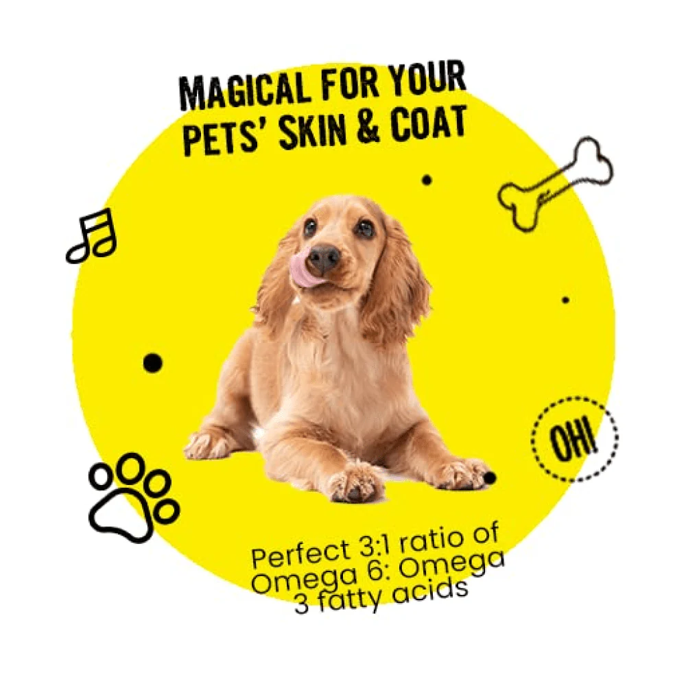 Healing Leaf Hemp Peanut Butter and Bark Out Loud Skin & Coat Hemp Chew Stix for Dogs and Cats Combo - Image 15