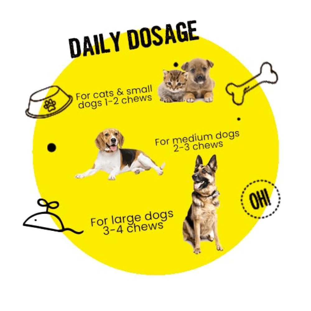 Healing Leaf Hemp Peanut Butter and Bark Out Loud Skin & Coat Hemp Chew Stix for Dogs and Cats Combo - Image 16