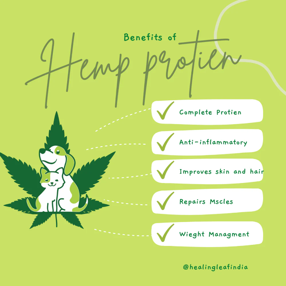 Healing Leaf Hemp Protein Powder for Dogs and Cats - Image 3