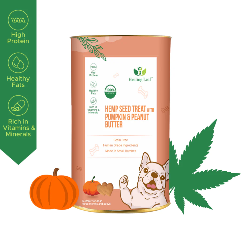 Healing Leaf Hemp Pumpkin Treats and Skatrs Treat Hider Toy Combo for Dogs - Image 2