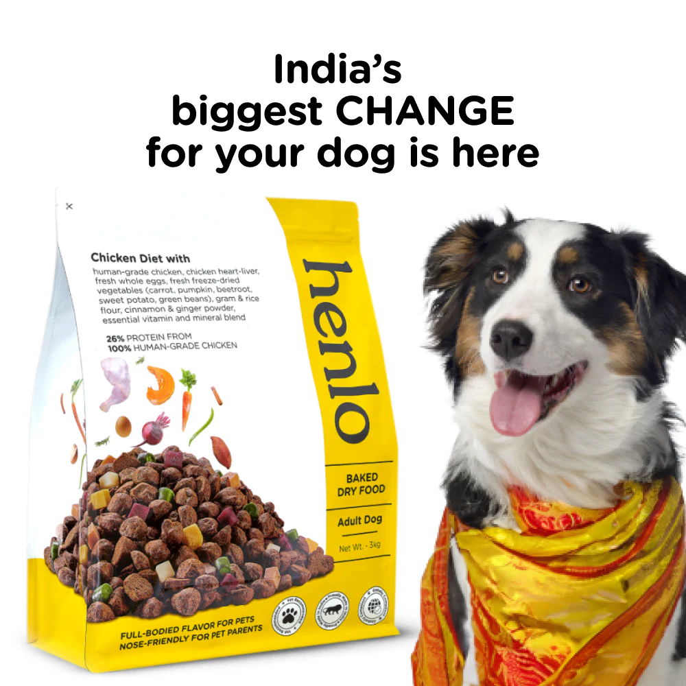 Henlo Baked Adult Dry Food and Gnawlers Oat Bone Dog Treats Combo - Image 2