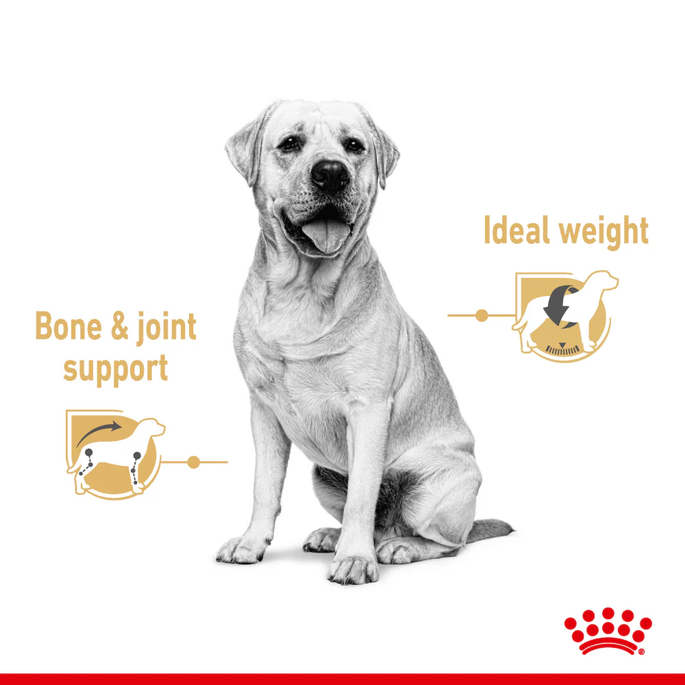 Henlo Baked Adult Dry Food and Royal Canin Chunks In Gravy Labrador Retriever Adult Wet Dog Food Combo - Image 16