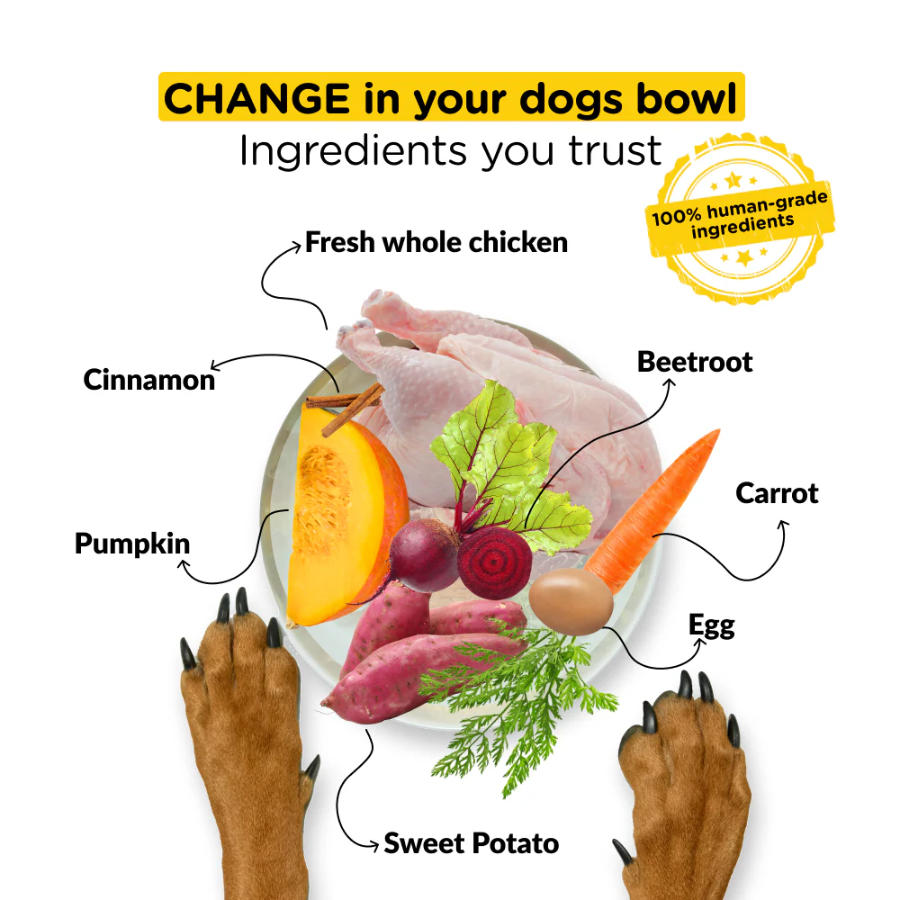 Henlo Baked Adult Dry Food and Royal Canin Chunks In Gravy Labrador Retriever Adult Wet Dog Food Combo - Image 4