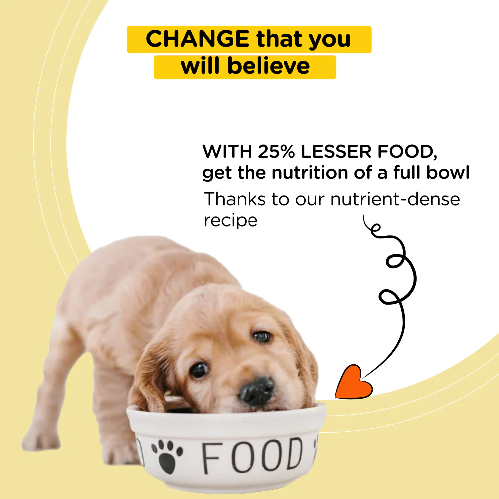 Henlo Baked Adult Dry Food and Royal Canin Chunks In Gravy Labrador Retriever Adult Wet Dog Food Combo - Image 6
