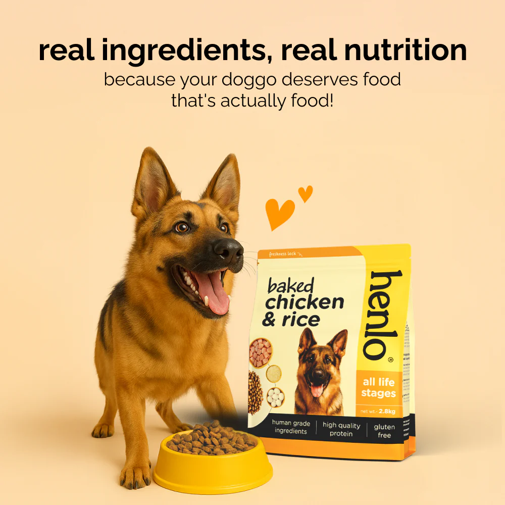Henlo Baked Chicken & Liver and Chicken & Rice Dog Dry Food Combo - Image 14