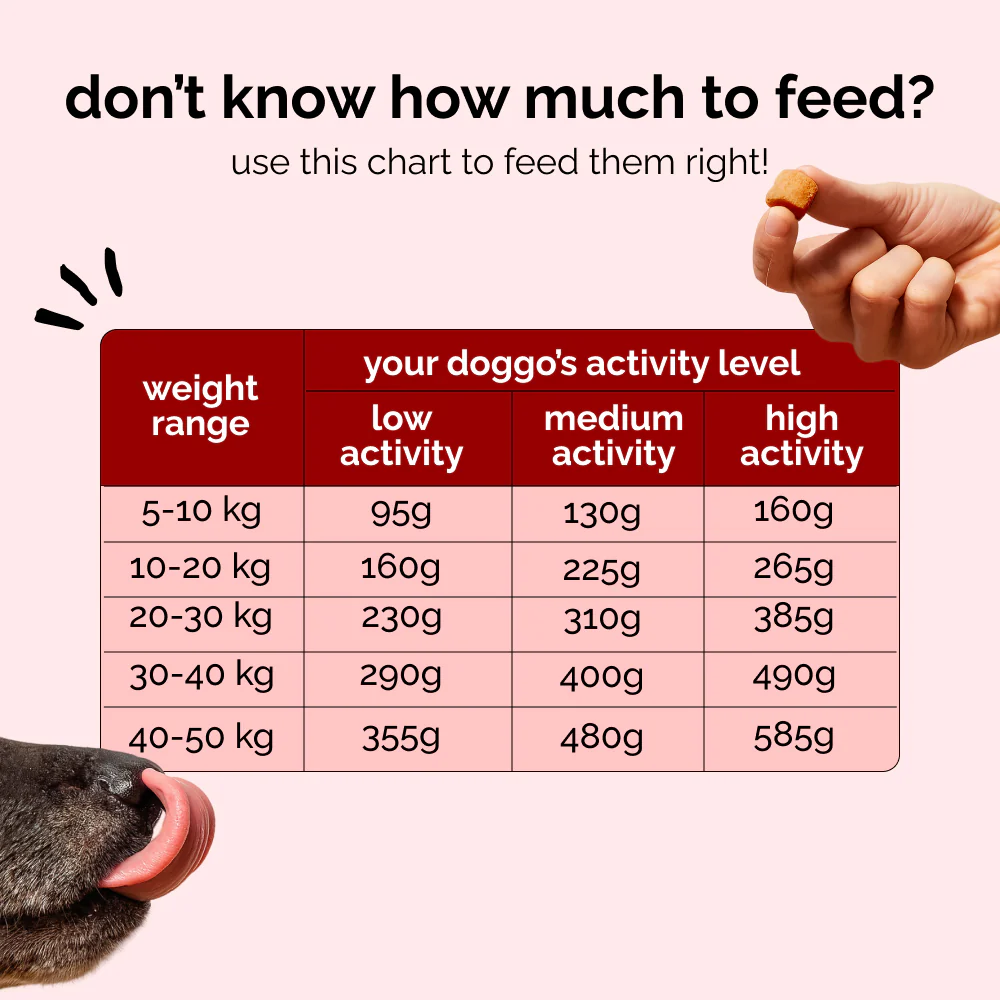 Henlo Baked Chicken & Liver Adult and Puppy Dog Dry Food | 100% human grade ingredients - Image 6