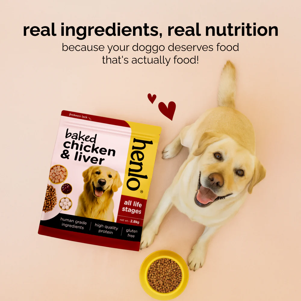 Henlo Baked Chicken & Liver Adult and Puppy Dog Dry Food | 100% human grade ingredients - Image 7