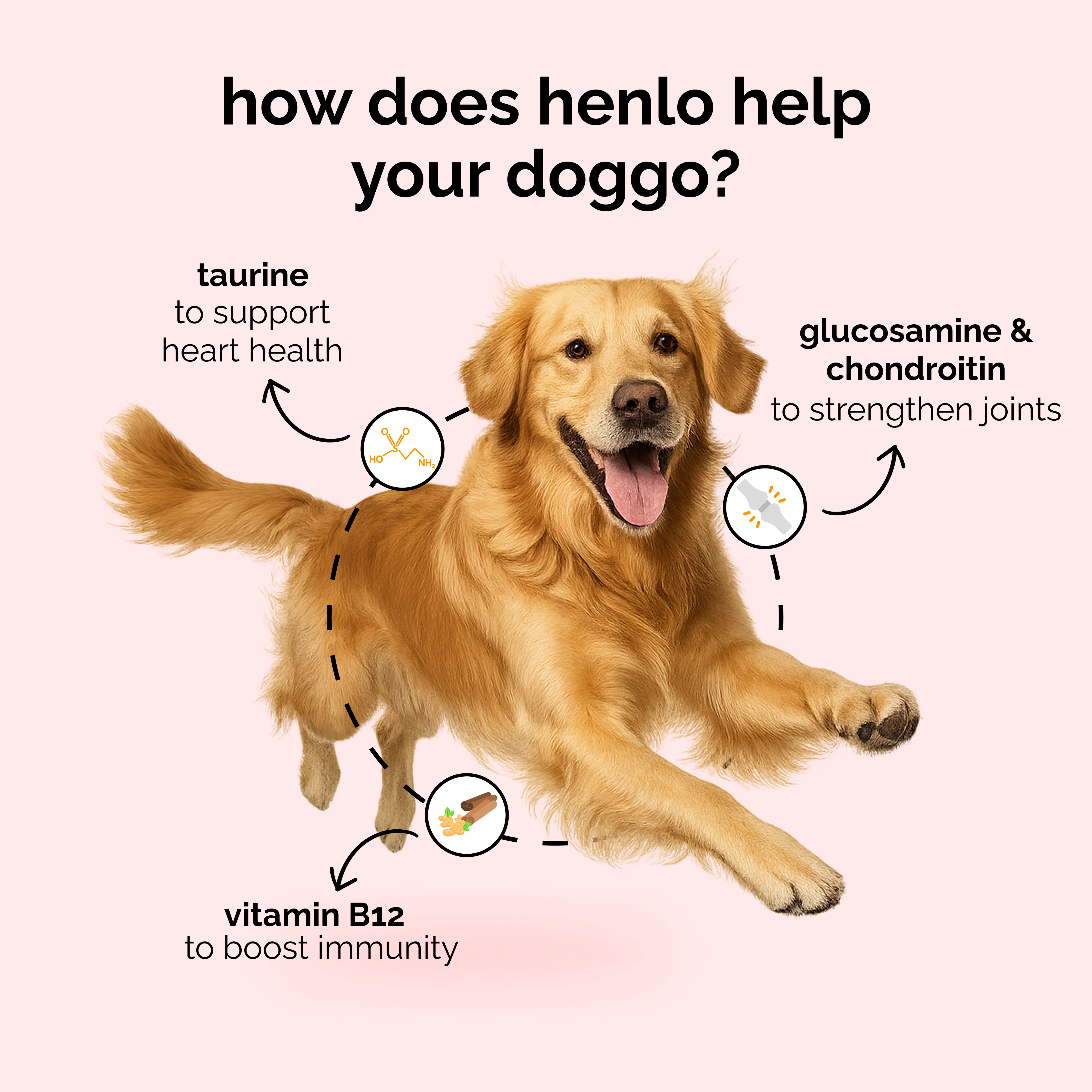 Henlo Baked Chicken & Liver Adult and Puppy Dog Dry Food | 100% human grade ingredients - Image 3