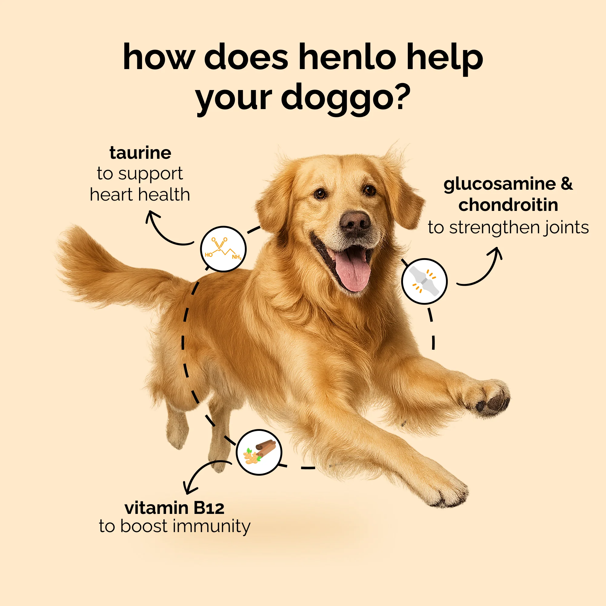 Henlo Baked Chicken & Rice Adult and Puppy Gluten free Dog Dry Food | 100% human grade ingredients - Image 3