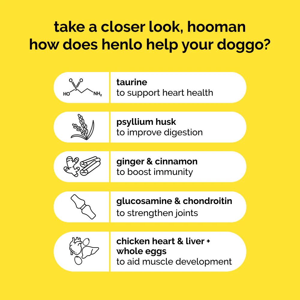 Henlo Chicken & Vegetable Baked Dry Food for Adult Dogs | 100% human grade ingredients - Image 4