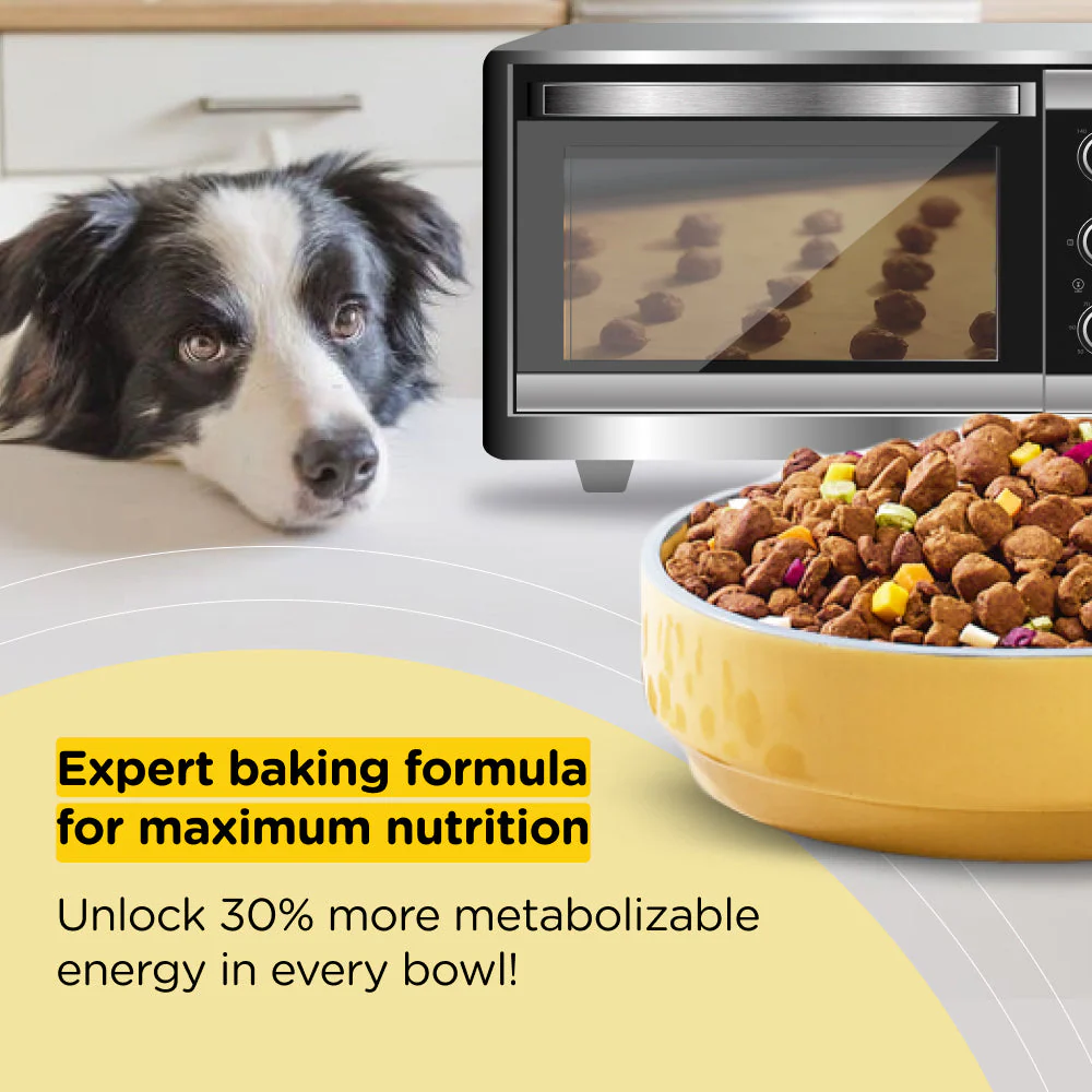 Henlo Chicken & Vegetable Baked Dry Food for Adult Dogs and JerHigh Vegetable and Chicken in Gravy Dog Wet Food Combo - Image 3