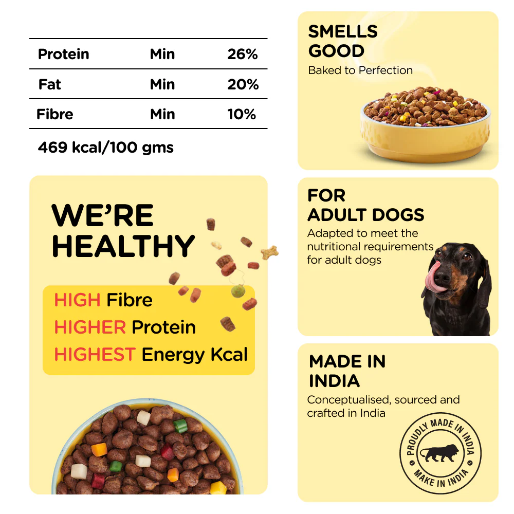 Henlo Chicken & Vegetable Baked Dry Food for Adult Dogs and SKATRS Anti Skid Stainless Steel Bowl Combo - Image 3
