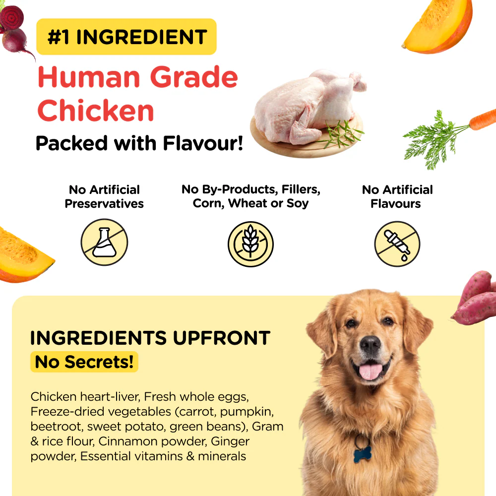 Henlo Chicken & Vegetable Baked Dry Food for Adult Dogs and SKATRS Anti Skid Stainless Steel Bowl Combo - Image 4