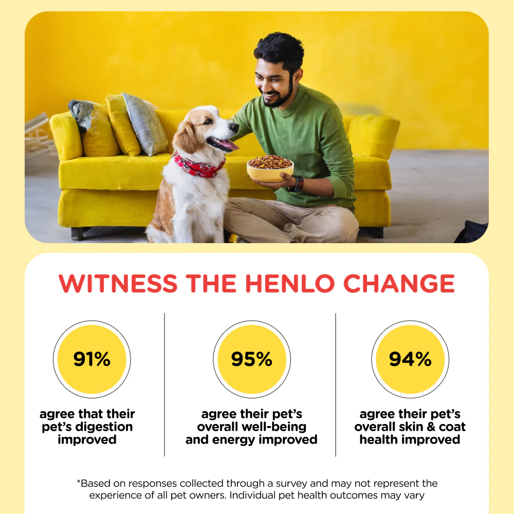 Henlo Chicken & Vegetable Baked Dry Food for Adult Dogs and SKATRS Anti Skid Stainless Steel Bowl Combo - Image 6