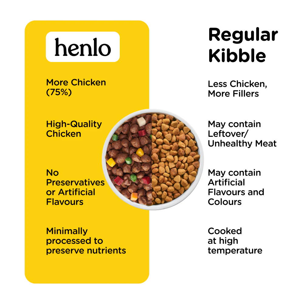Henlo Chicken & Vegetable Baked Dry Food for Adult Dogs and SKATRS Anti Skid Stainless Steel Bowl Combo - Image 7
