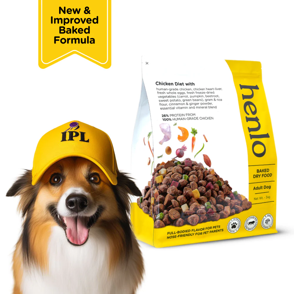 Henlo Chicken & Vegetable Baked Dry Food for Adult Dogs and SKATRS Anti Skid Stainless Steel Bowl Combo - Image 9