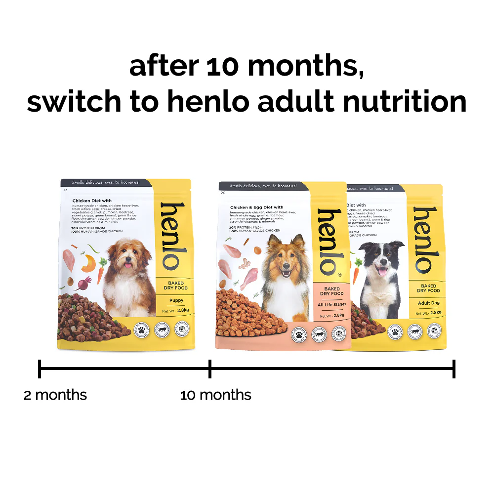 Henlo Chicken & Veg Baked Dry Food for Puppies & Small Breed Dogs | 100% Human Grade Ingredients - Image 9