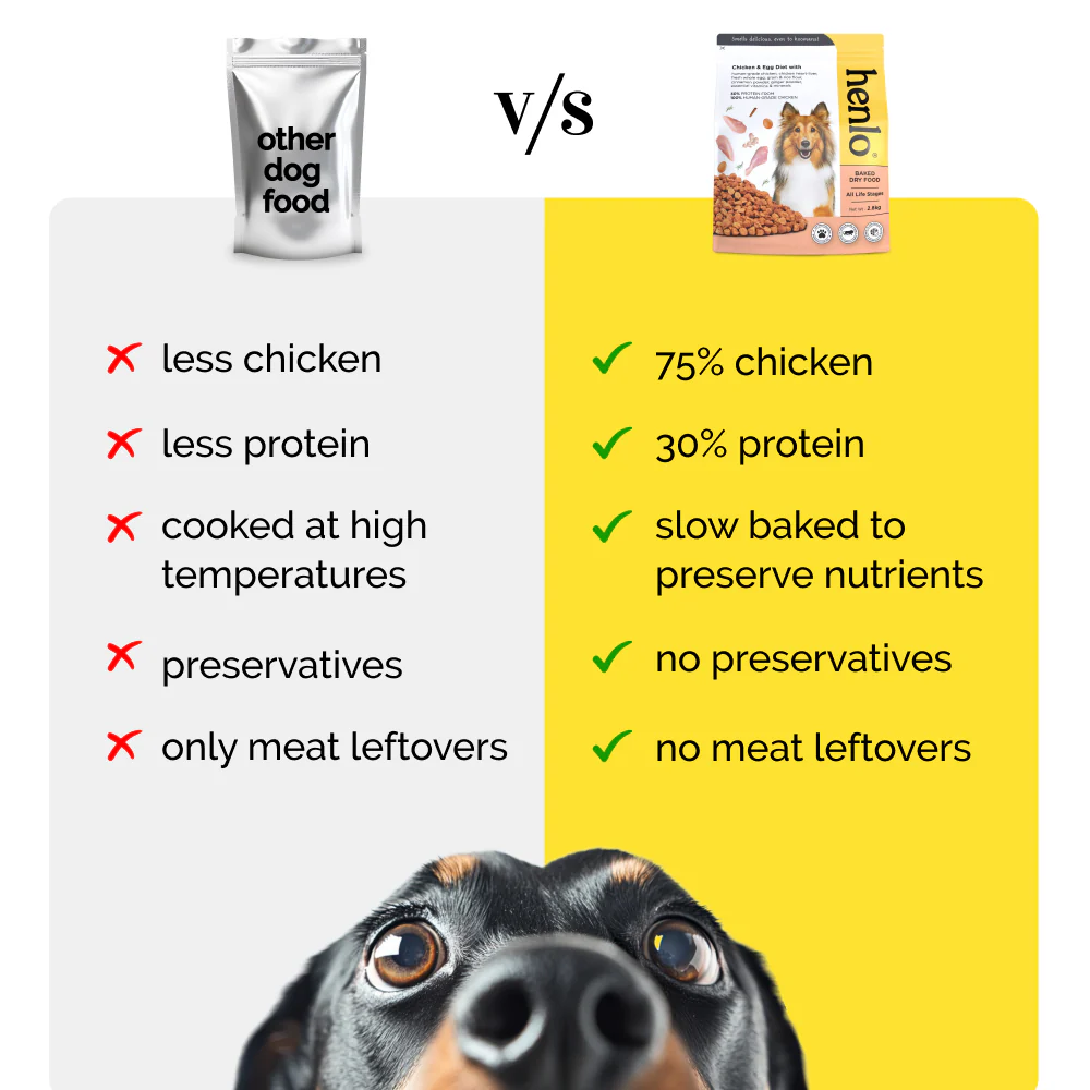 Henlo Chicken and Egg Baked Dry Food for Adult Dogs & Puppies and Chicken Jerky Treats for Dogs Combo - Image 5
