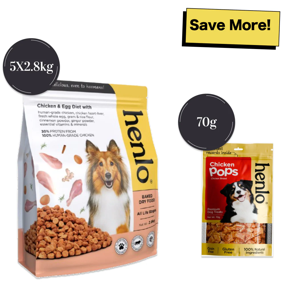 Henlo Chicken and Egg Baked Dry Food for Adult Dogs & Puppies and Chicken Pops Treats for Dogs Combo - Image 11