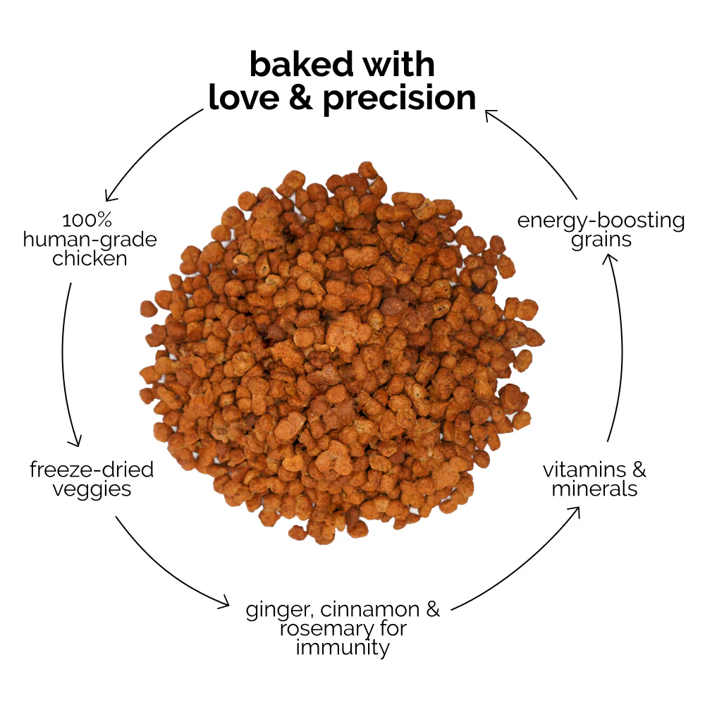 Henlo Chicken and Egg Baked Dry Food for Adult Dogs & Puppies and Chicken Pops Treats for Dogs Combo - Image 6
