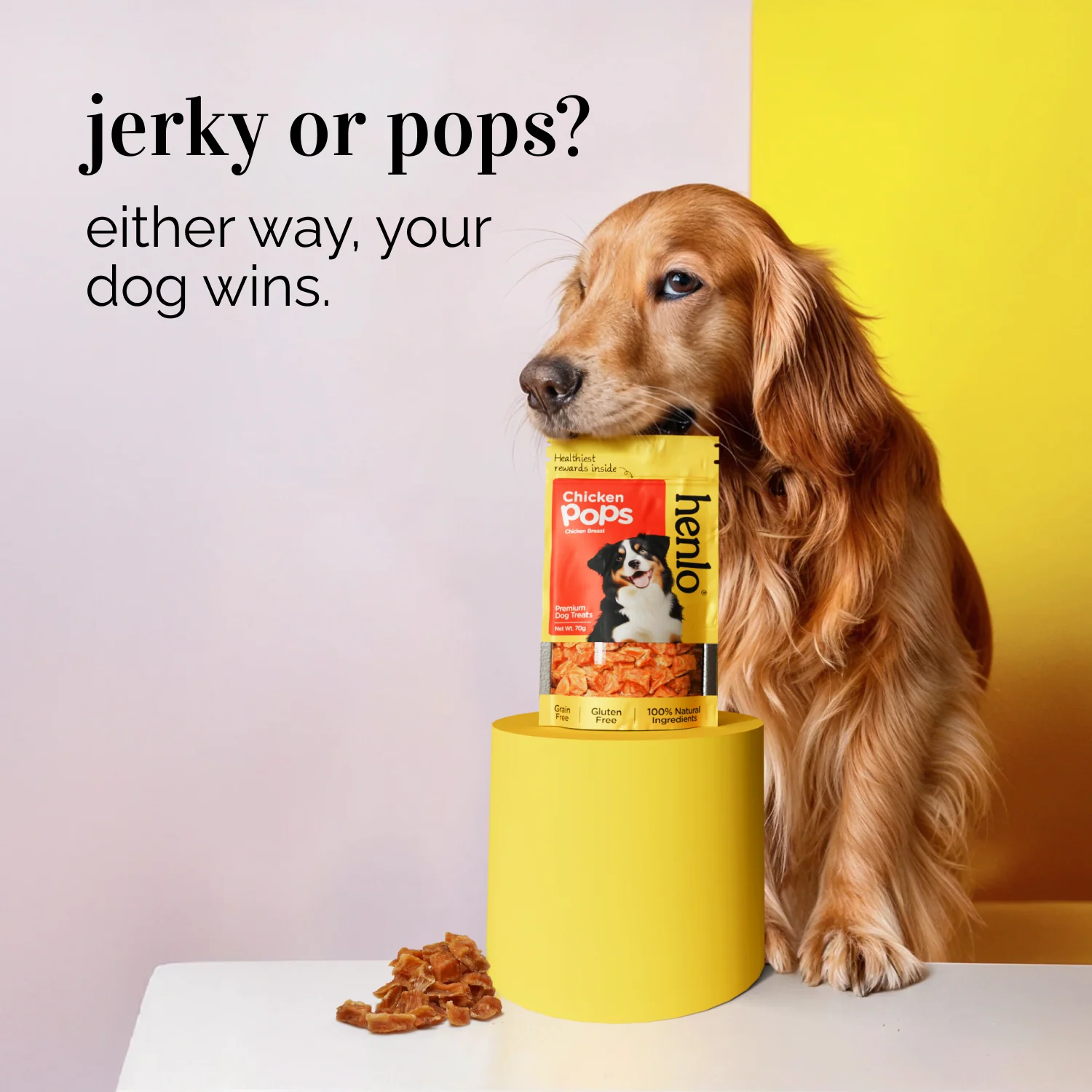 Henlo Chicken Jerky and Pops Treats for Dogs Combo - Image 11