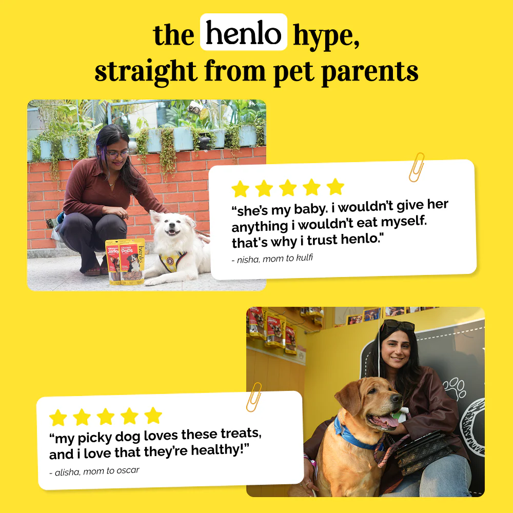 Henlo High Protein Air Dried Chicken Jerky Dog Treats - Image 4