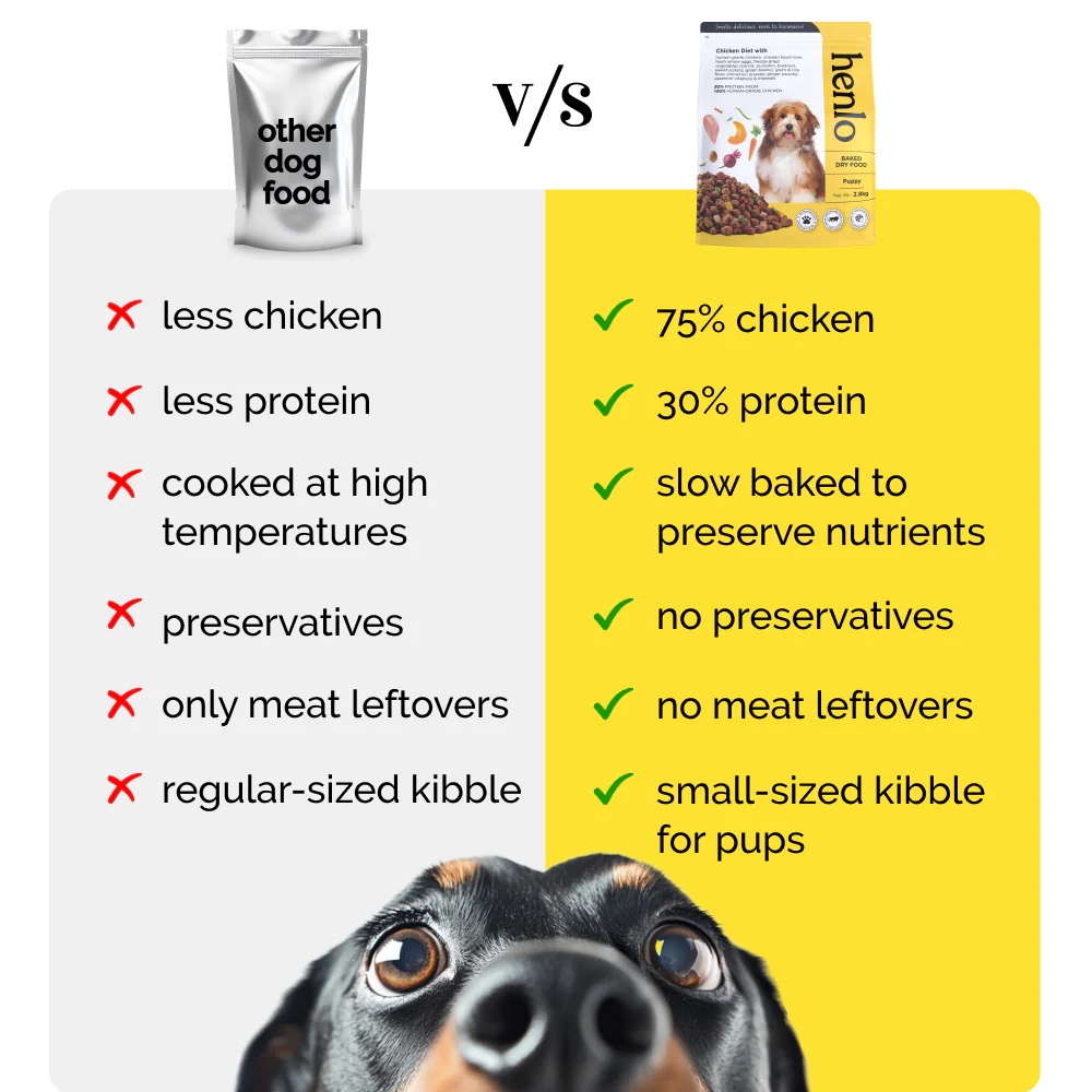 Henlo Chicken & Vegetable Baked Dry Food and Chicken Jerky Treats for Dogs Combo - Image 6