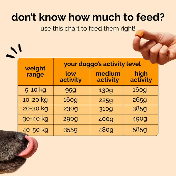 Henlo Baked Chicken Adult and Puppy Dog Dry Food | 100% Human Grade Ingredients - Image 11