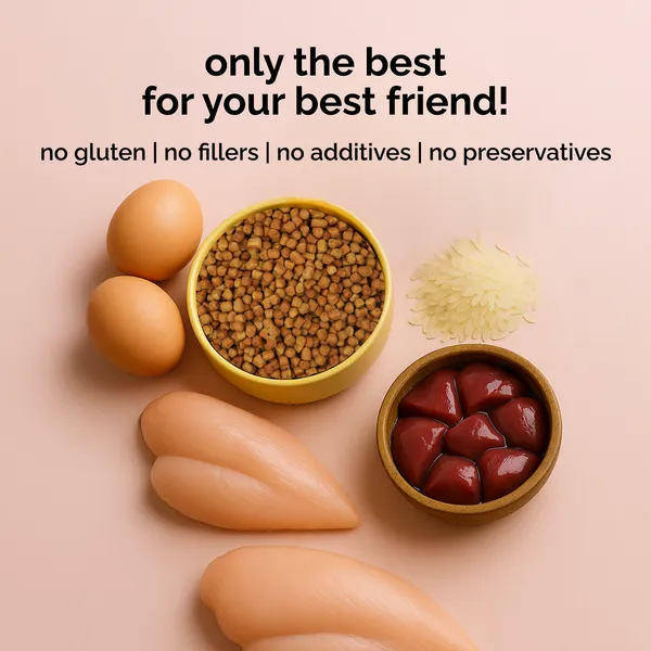 Henlo Baked Chicken Adult and Puppy Dog Dry Food | 100% Human Grade Ingredients - Image 7