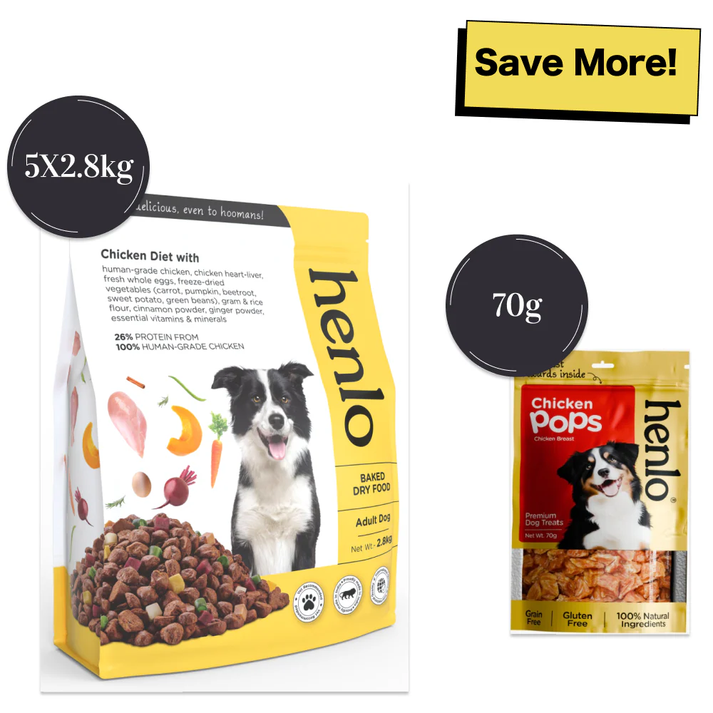 Henlo Chicken & Vegetable Baked Dry Food and Chicken Pops Treats for Dogs Combo - Image 12