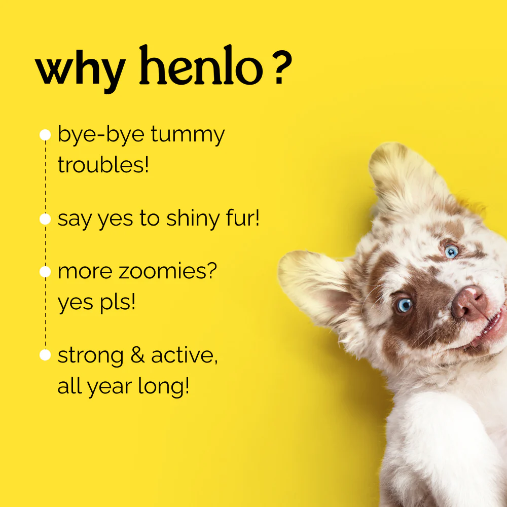 Henlo Chicken & Vegetable Baked Dry Food and Chicken Jerky Treats for Dogs Combo - Image 3