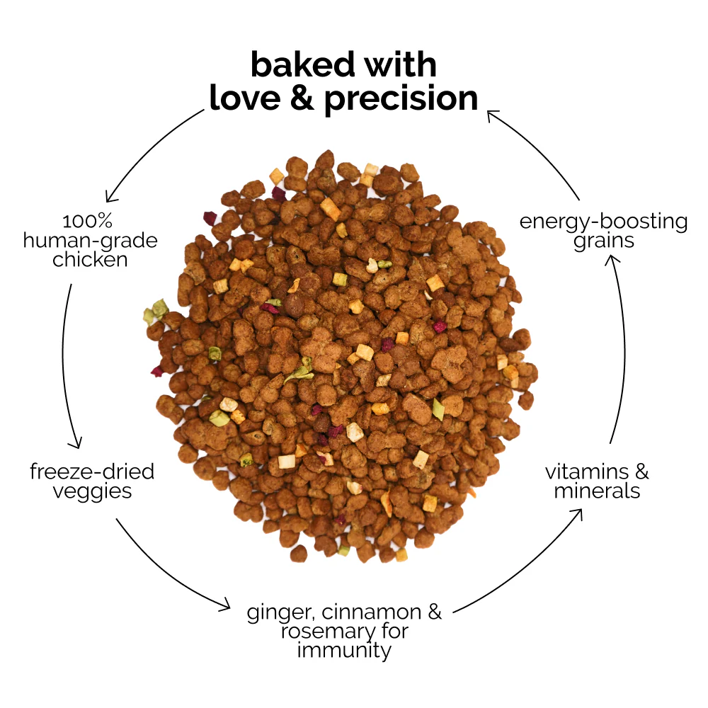 Henlo Chicken & Vegetable Baked Dry Food and Chicken Jerky Treats for Dogs Combo - Image 8