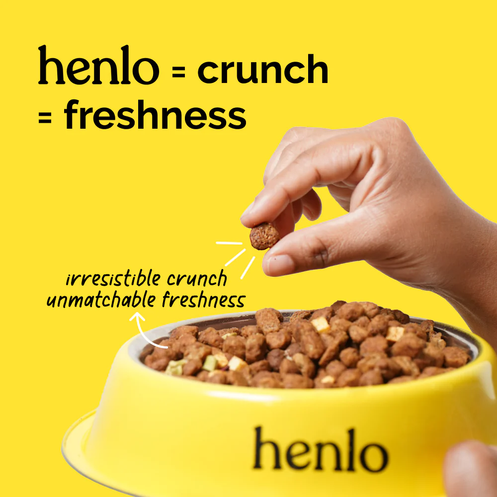 Henlo Chicken & Vegetable Baked Dry Food and Chicken Jerky treats for Dogs Combo - Image 7