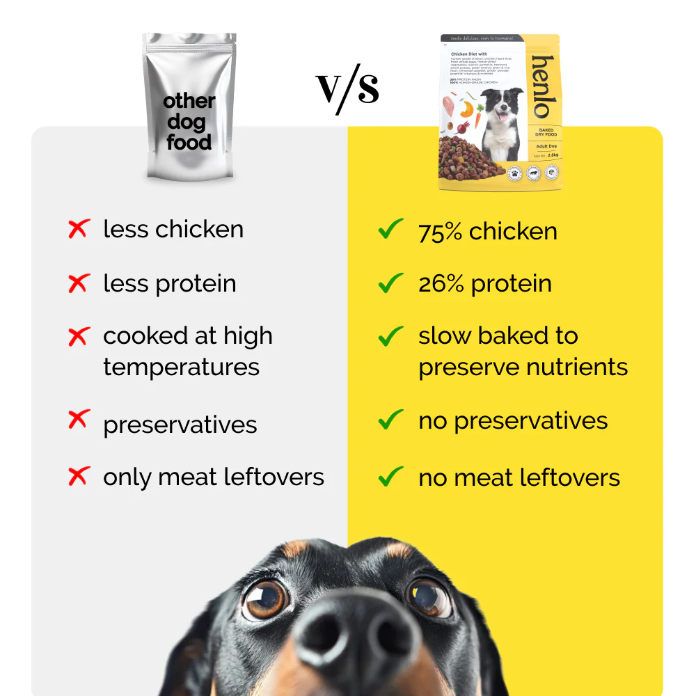 Henlo Chicken Vegetable Baked Adult Dry Food, Bark Out Loud Allergy Itch Relief Shampoo Dogs Combo - Image 7