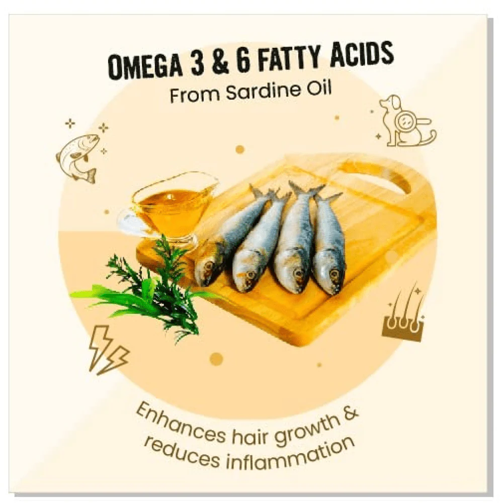 Henlo Everyday Topper for Home Cooked Food and Bark Out Loud Skin & Coat Sardine Oil for Dogs Combo - Image 11