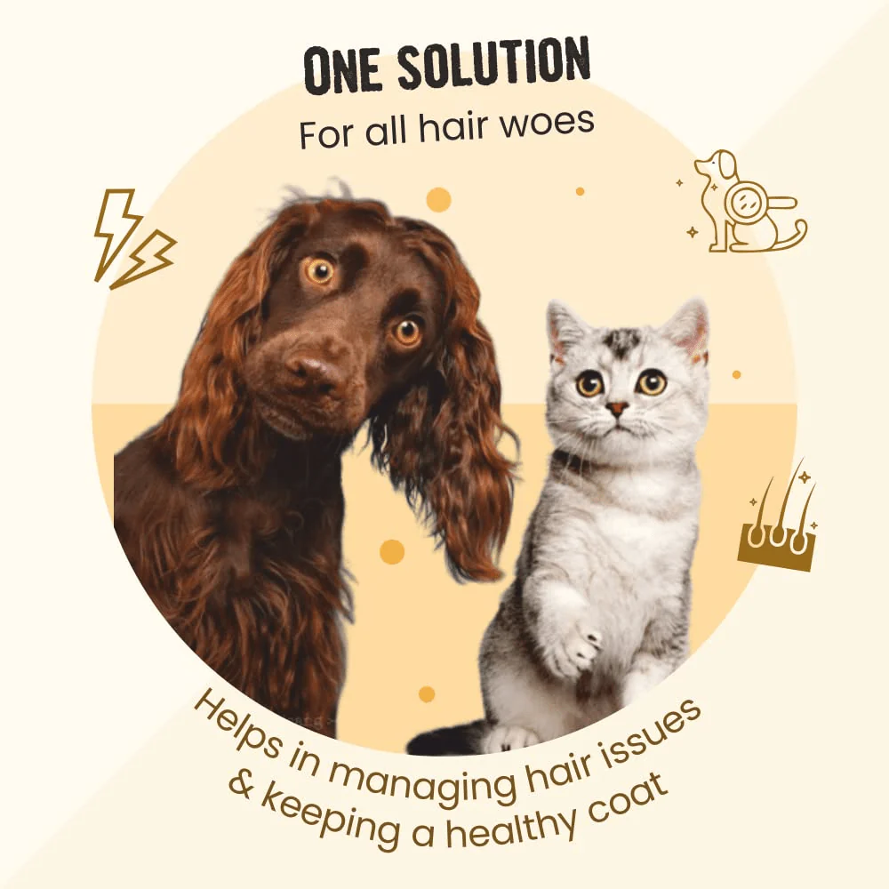 Henlo Everyday Topper for Home Cooked Food and Bark Out Loud Skin & Coat Sardine Oil for Dogs Combo - Image 12