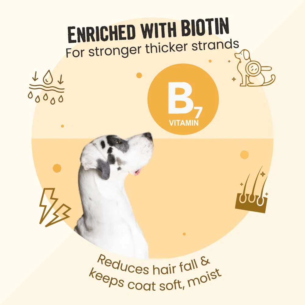 Henlo Everyday Topper for Home Cooked Food and Bark Out Loud Skin & Coat Sardine Oil for Dogs Combo - Image 13