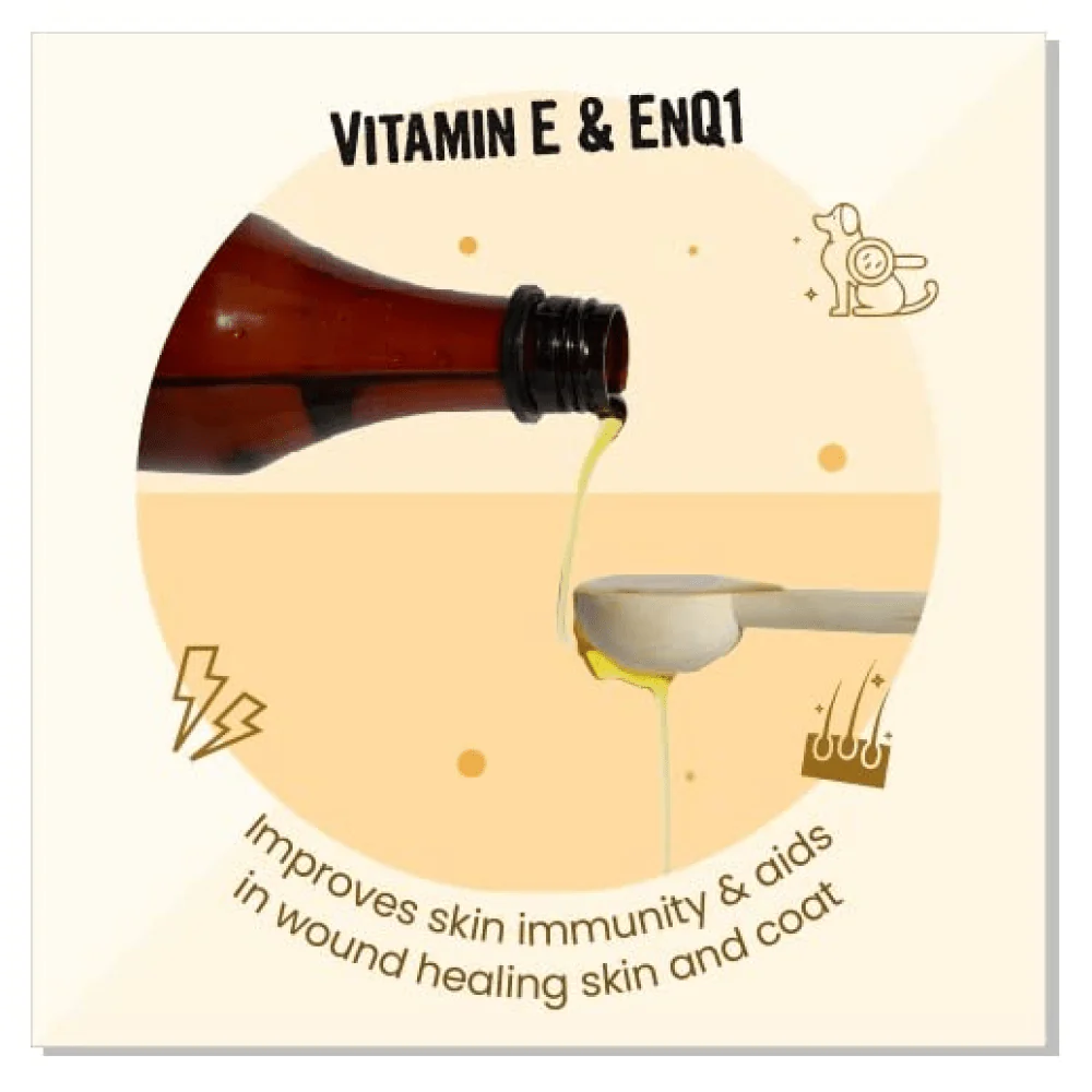 Henlo Everyday Topper for Home Cooked Food and Bark Out Loud Skin & Coat Sardine Oil for Dogs Combo - Image 14