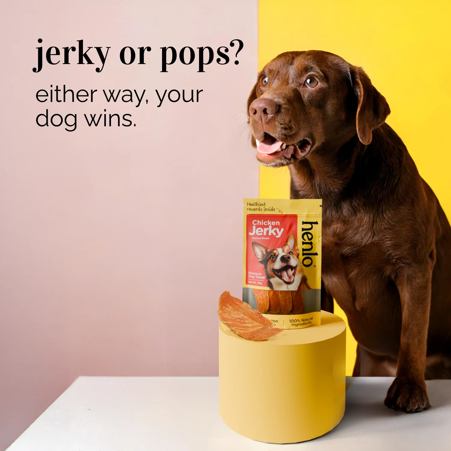 Henlo Everyday Topper for Home Cooked Food and Chicken Jerky Treats for Dogs Combo - Image 13