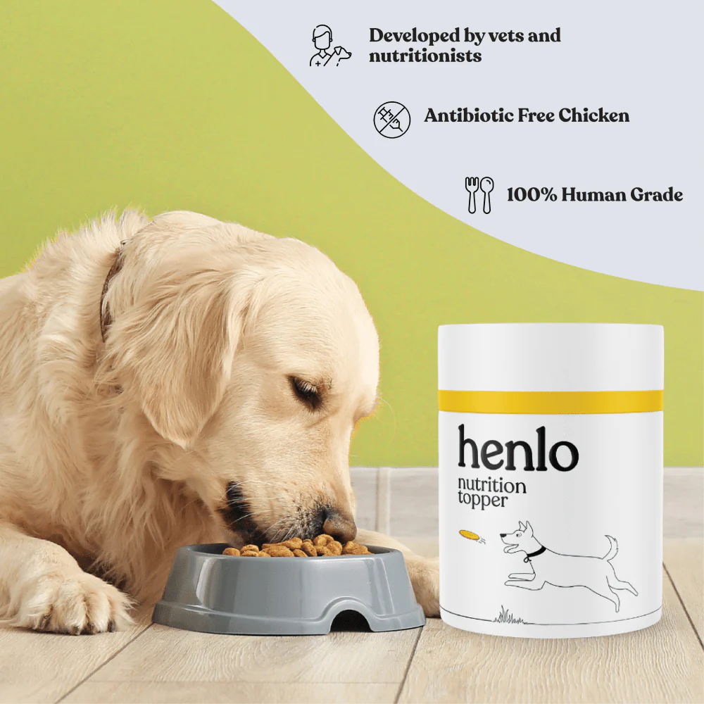 Henlo Everyday Topper for Home Cooked Food and Chicken Jerky Treats for Dogs Combo - Image 5