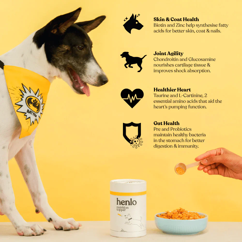 Henlo Everyday Topper for Home Cooked Food | Balanced Nutrition for Dogs - Image 2