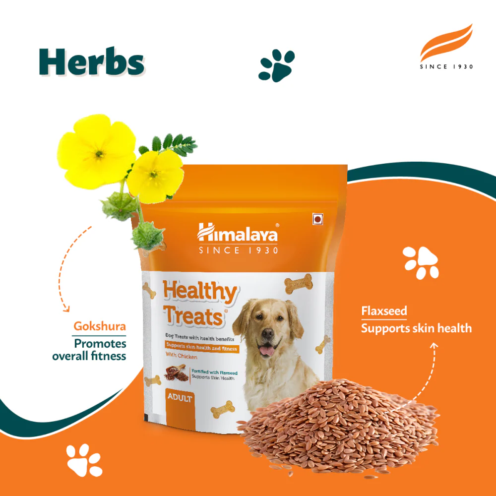 Himalaya Chicken Healthy Adult Dog Treats - Image 3