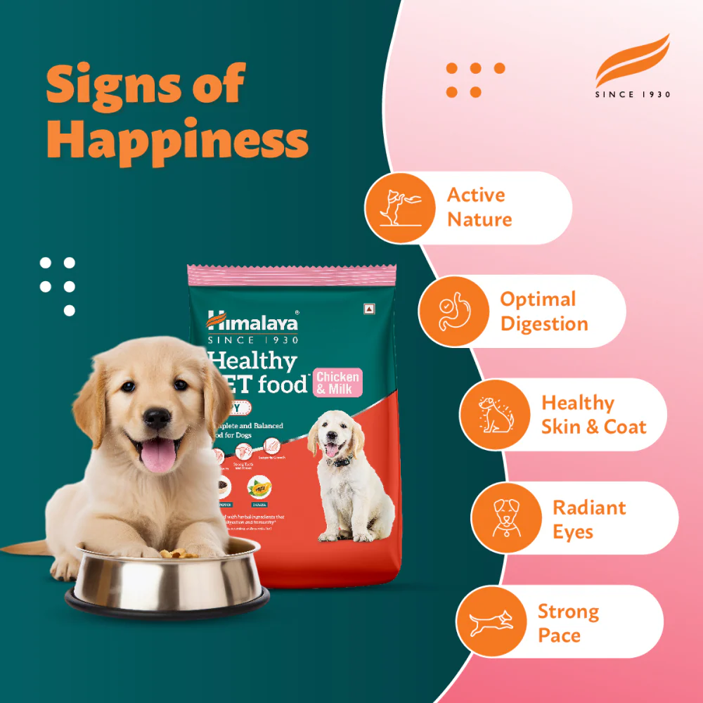 Himalaya Chicken & Milk Healthy Dry Food and Chicken Healthy Treats Puppy Combo - Image 5